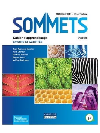 Sommets 1 cahier version papier + activités interactives 2e édition