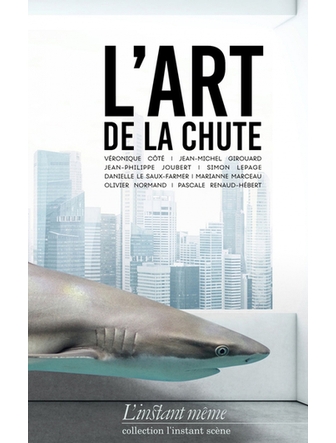 L'art de la chute (version papier)