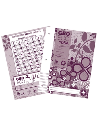 Cahier de projets Géo Éco 106A 1/3 interligné 2/3 blanc